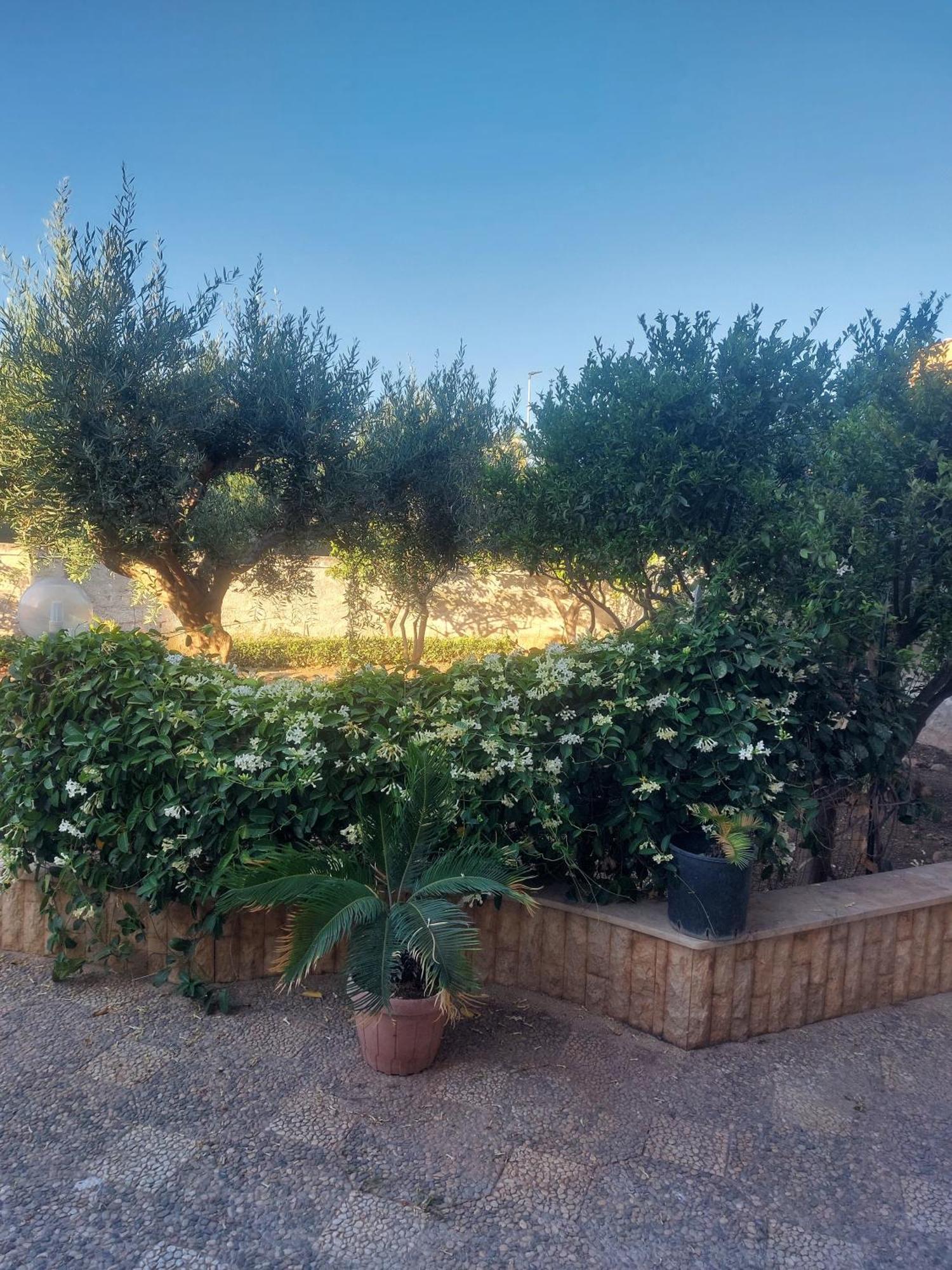 Alcantara Suites Trapani Bagian luar foto